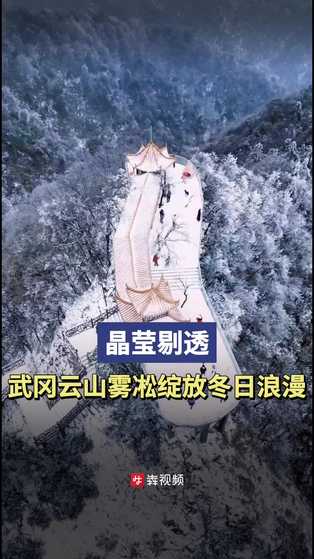 晶莹剔透！武冈云山雾凇绽放冬日浪漫