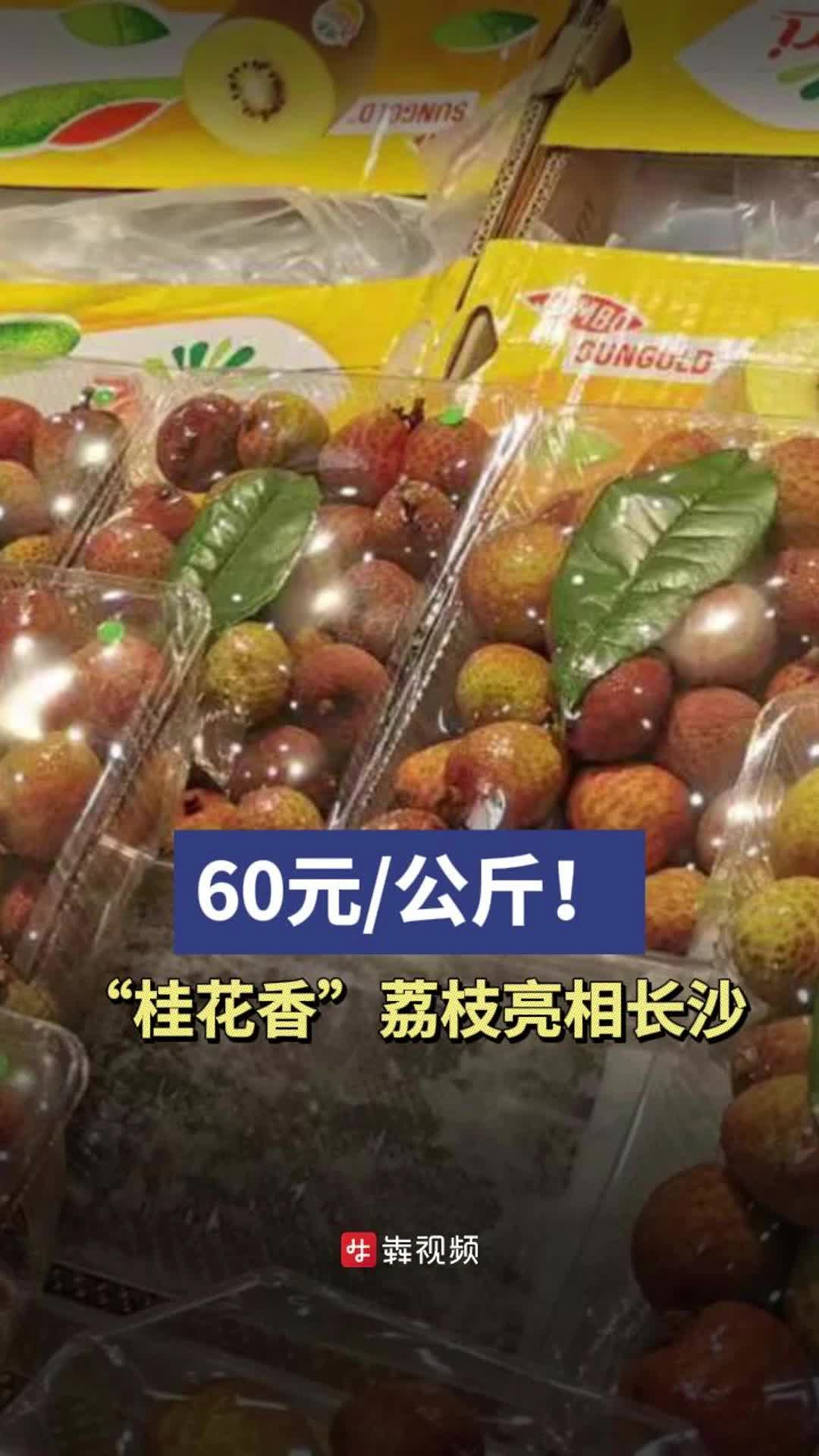 桂花香荔枝集中上市，售价60元/公斤不便宜