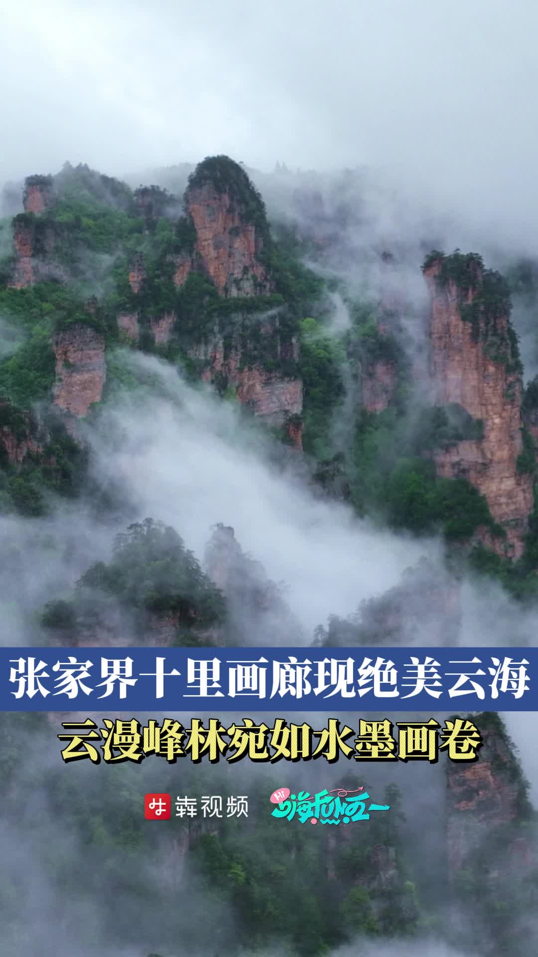 嗨FUN“五一”丨张家界十里画廊雨后现绝美云海- 今日关注- 湖南在线