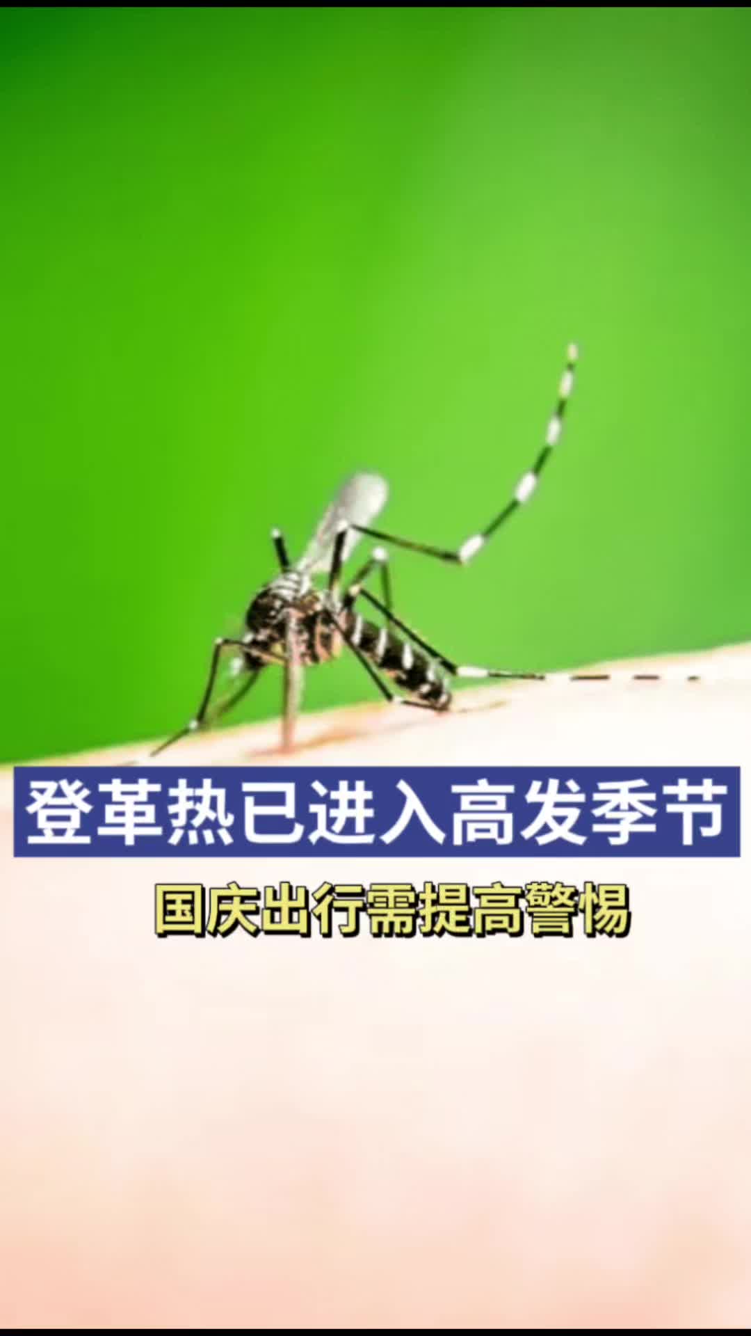 湖南疾控提醒：登革热已进入高发季节，国庆出行需提高警惕