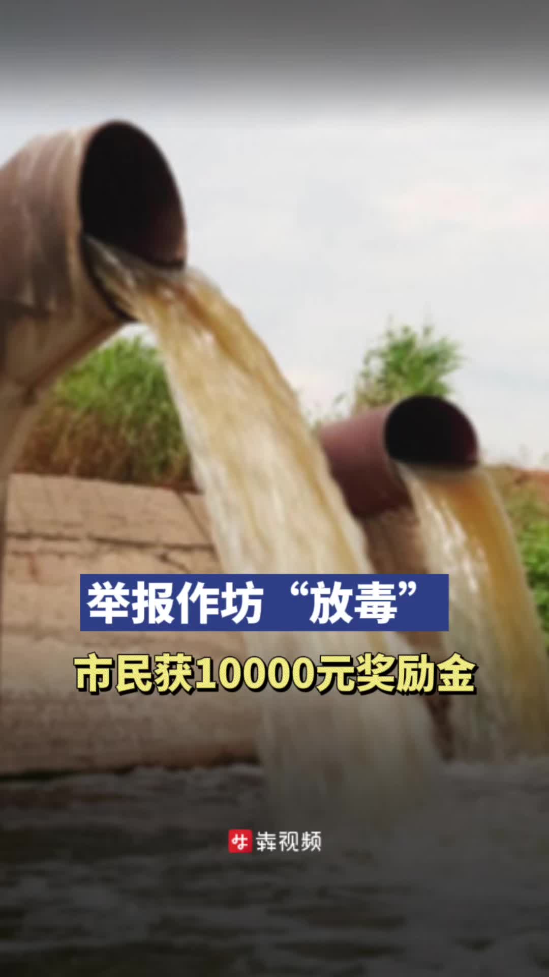 举报私人作坊排放“毒水”，市民获万元奖金