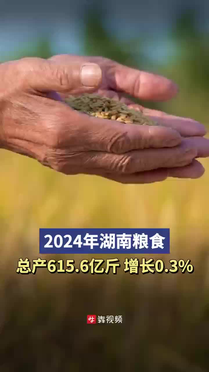 快讯｜“优秀”！2024年湖南粮食总产615.6亿斤、增长0.3%