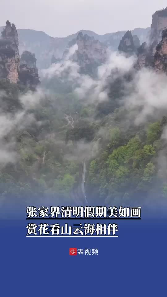 張家界清明假期美如畫 賞花看山云海相伴