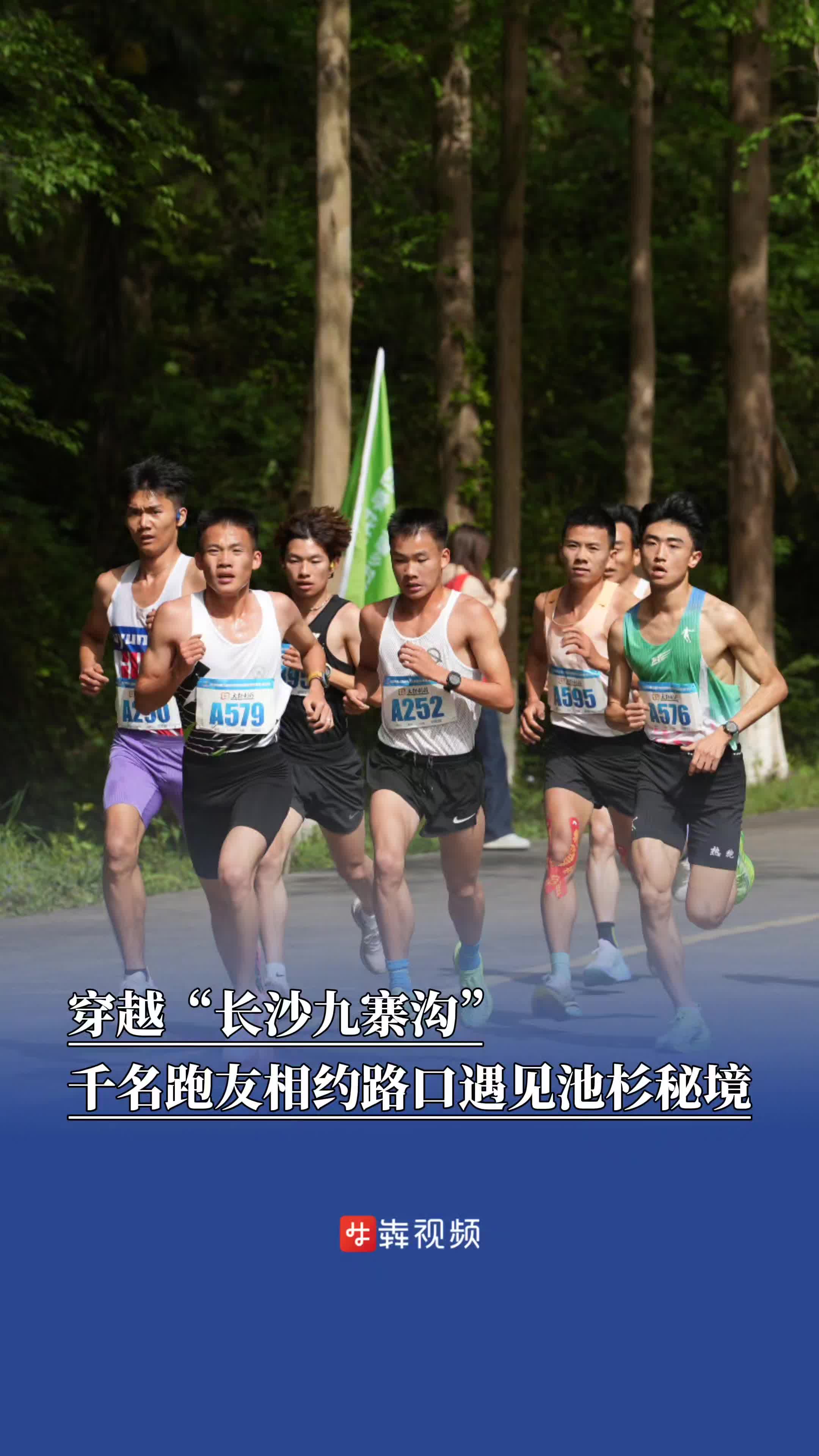 穿越“长沙九寨沟”！千名跑友路口遇见池杉秘境