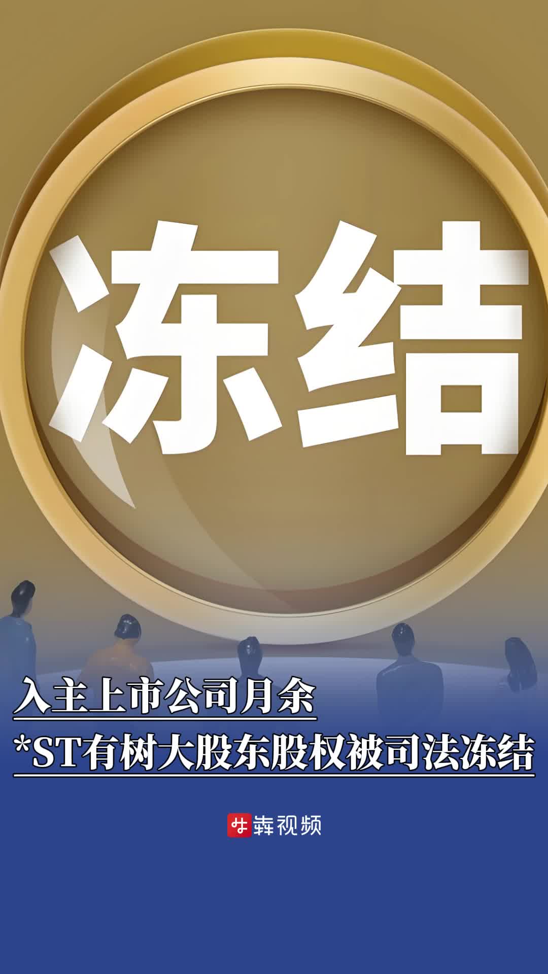 入主上市公司月余，*ST有樹第一大股東股權(quán)被司法凍結(jié)
