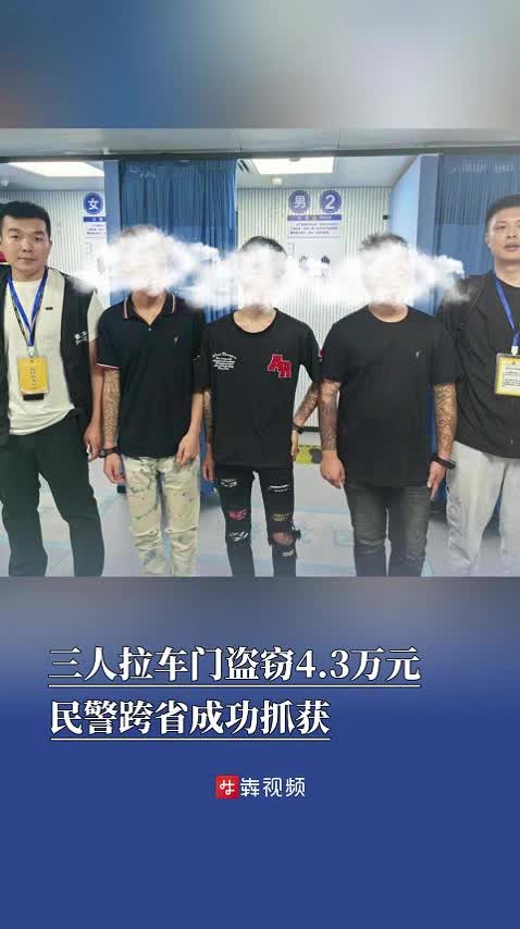 三人“拉车门”盗窃4.3万元，民警接警次日跨省抓获