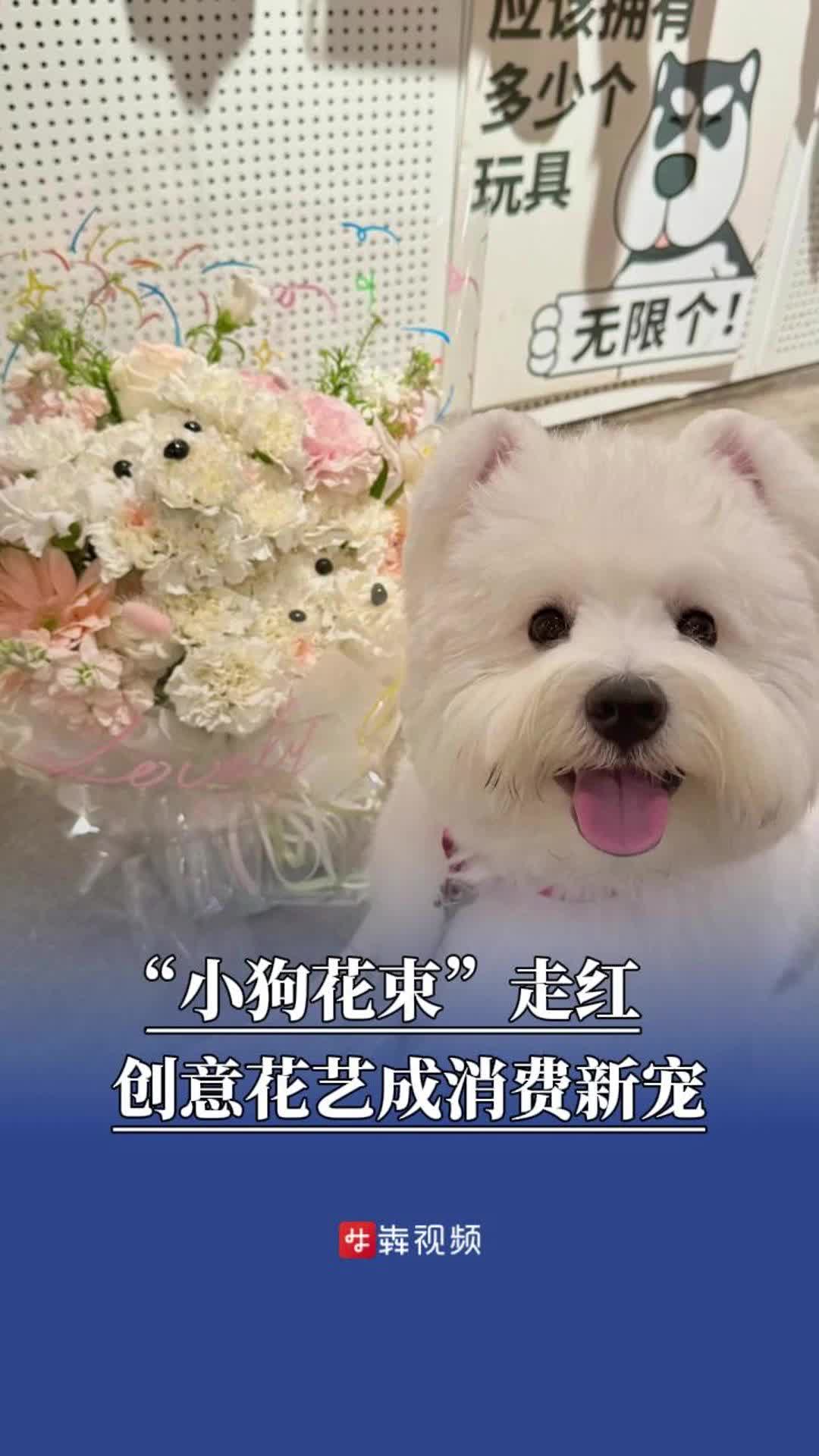 “小狗花束”走红，创意花艺成消费新宠