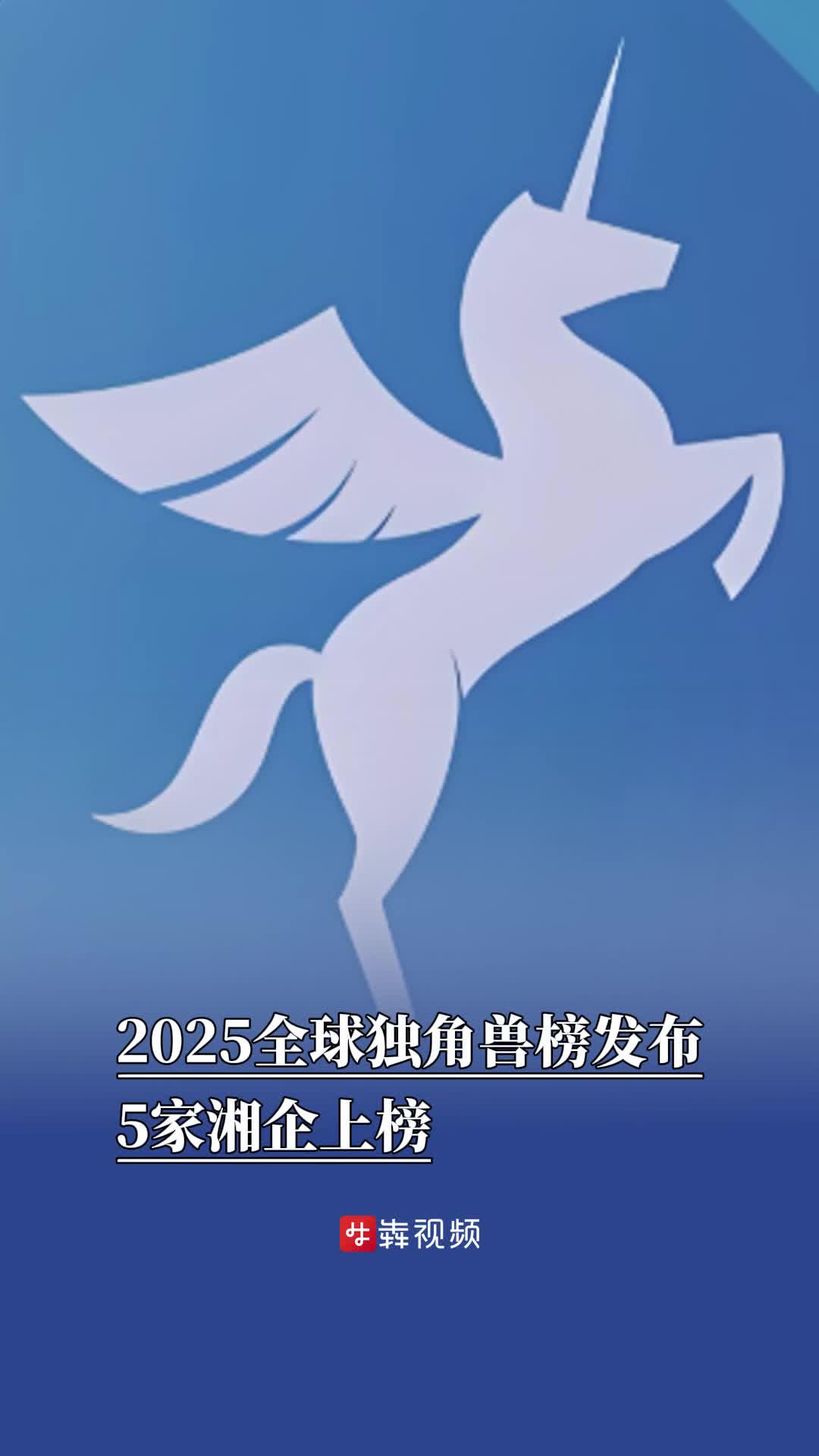 2025全球独角兽榜发布，5家湘企上榜