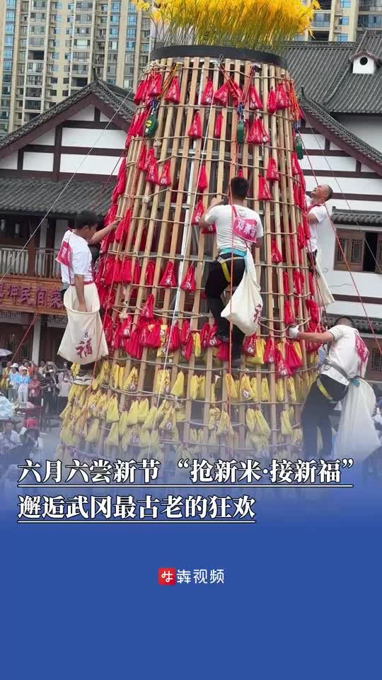 邂逅武冈最古老的狂欢，六⽉六尝新活动“抢新米·接新福”