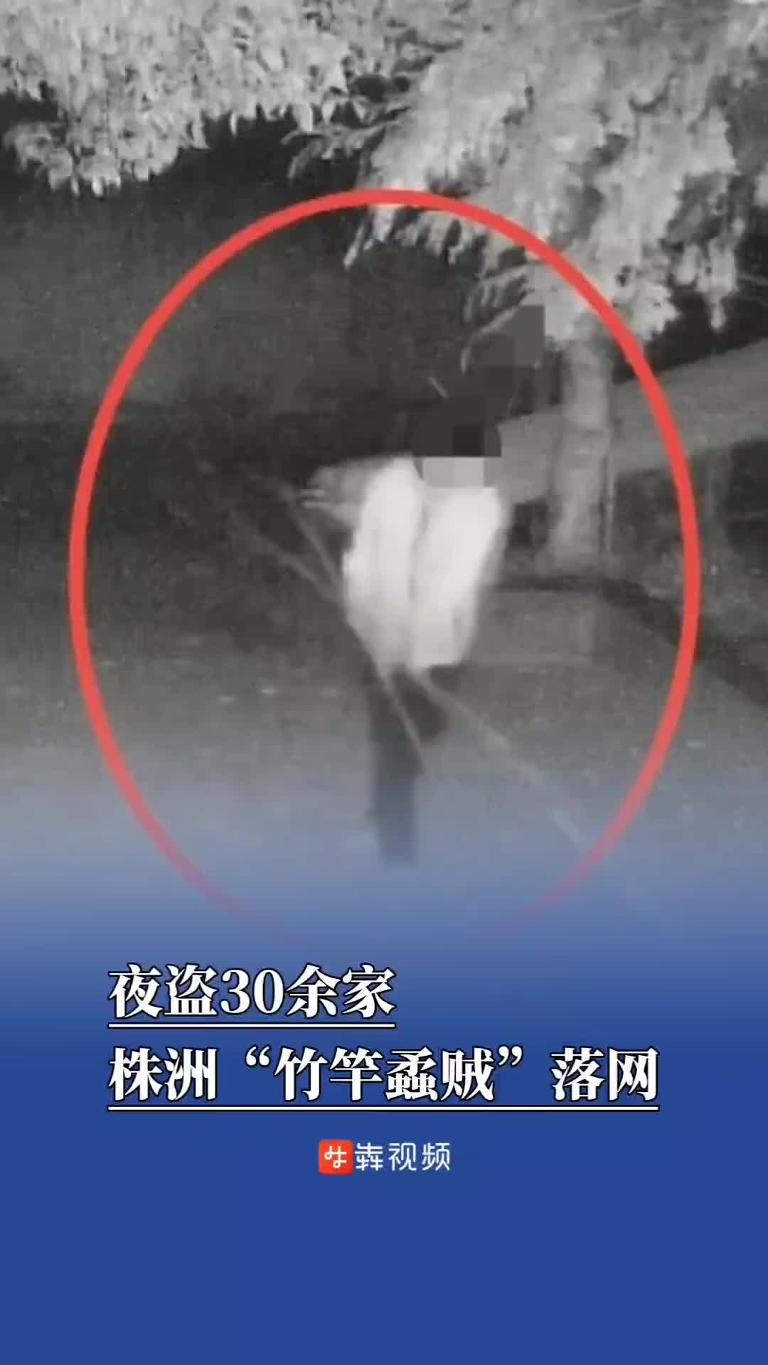 门窗完好财物不翼而飞？株洲“竹竿蟊贼”作案30余起落网