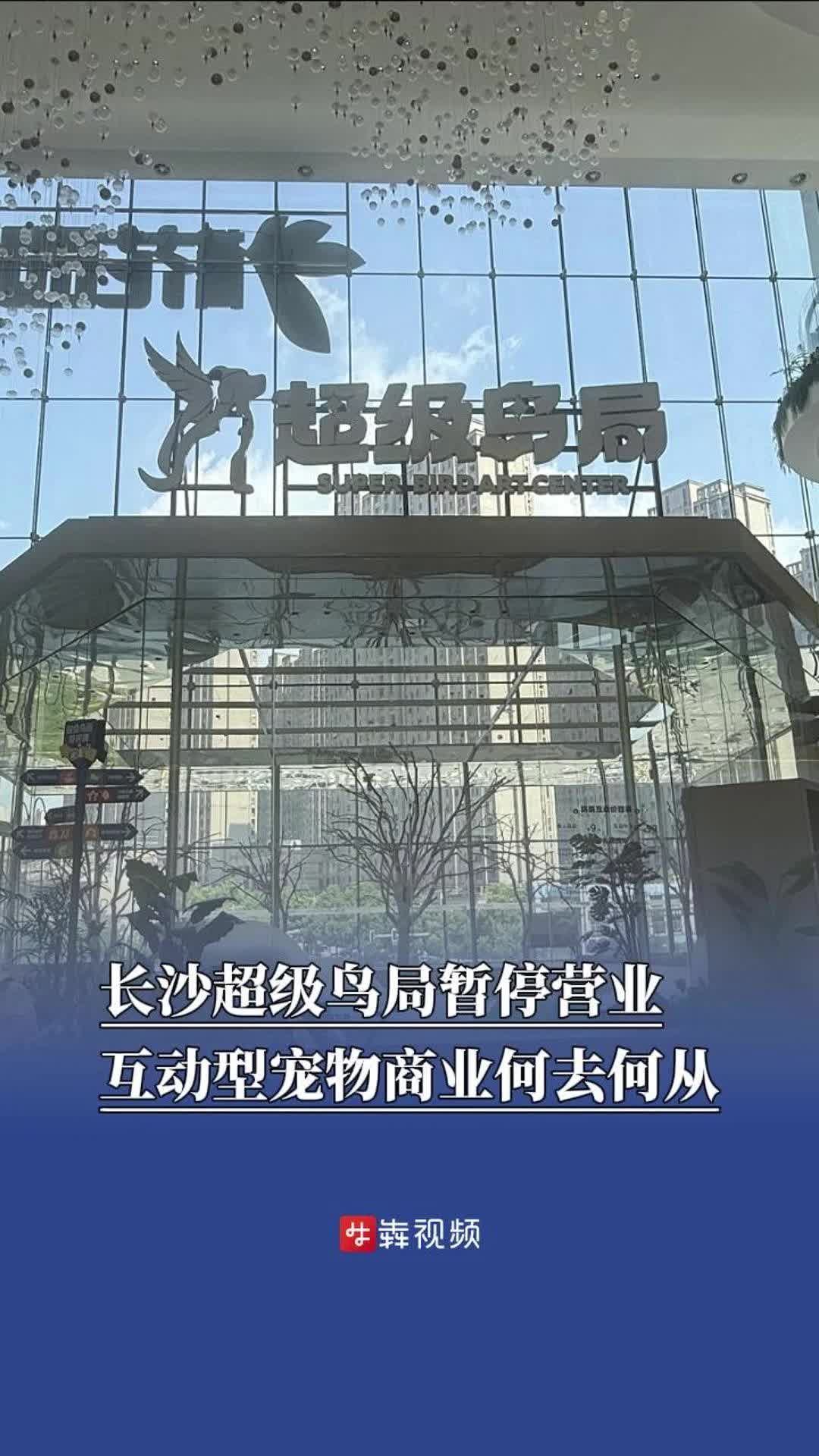 长沙超级鸟局暂停营业？互动型宠物商业何去何从