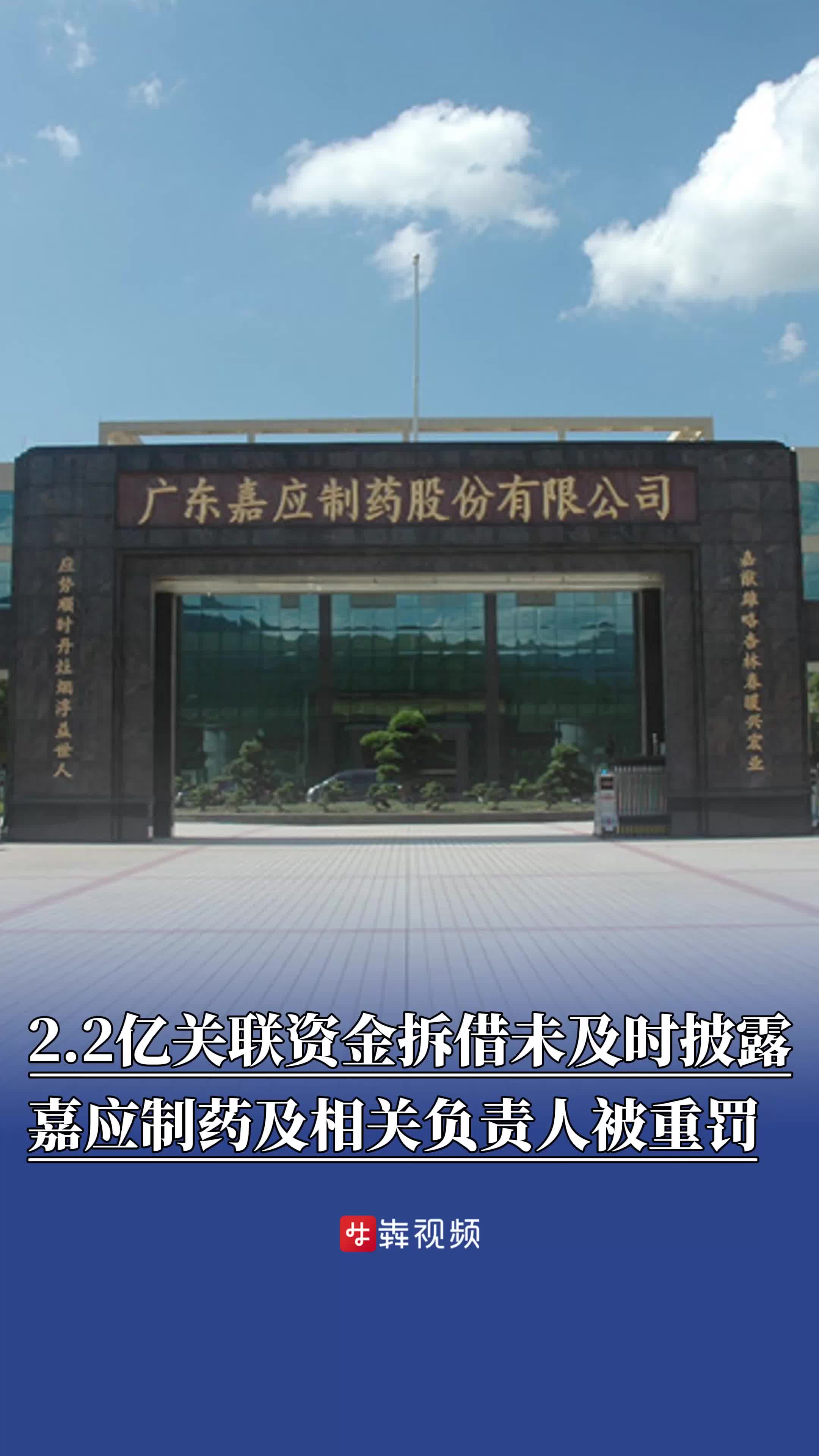 董事长主导2.2 亿元违规拆借，嘉应制药及相关负责人被罚490万元