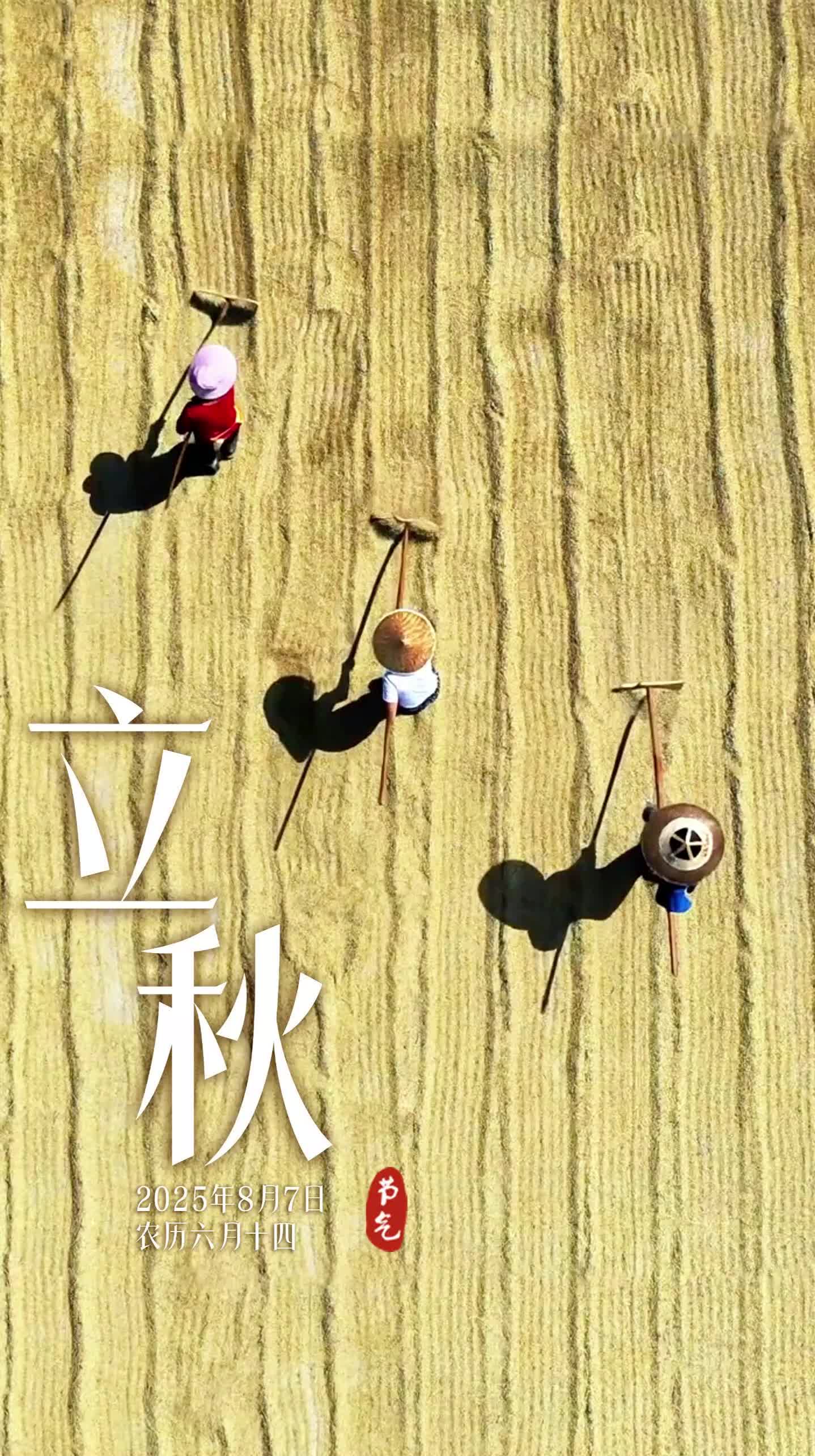 二十四节气·立秋
