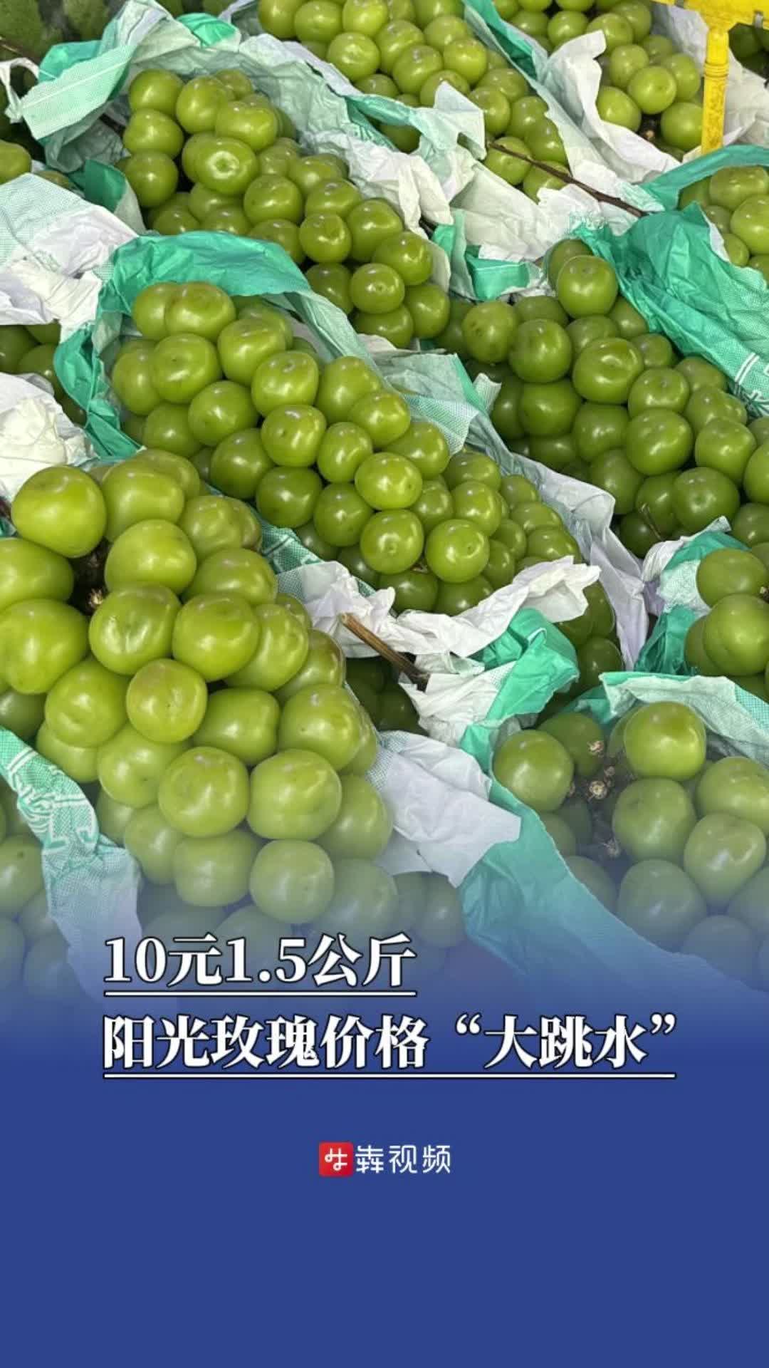 10元1.5公斤，陽光玫瑰價格“大跳水”