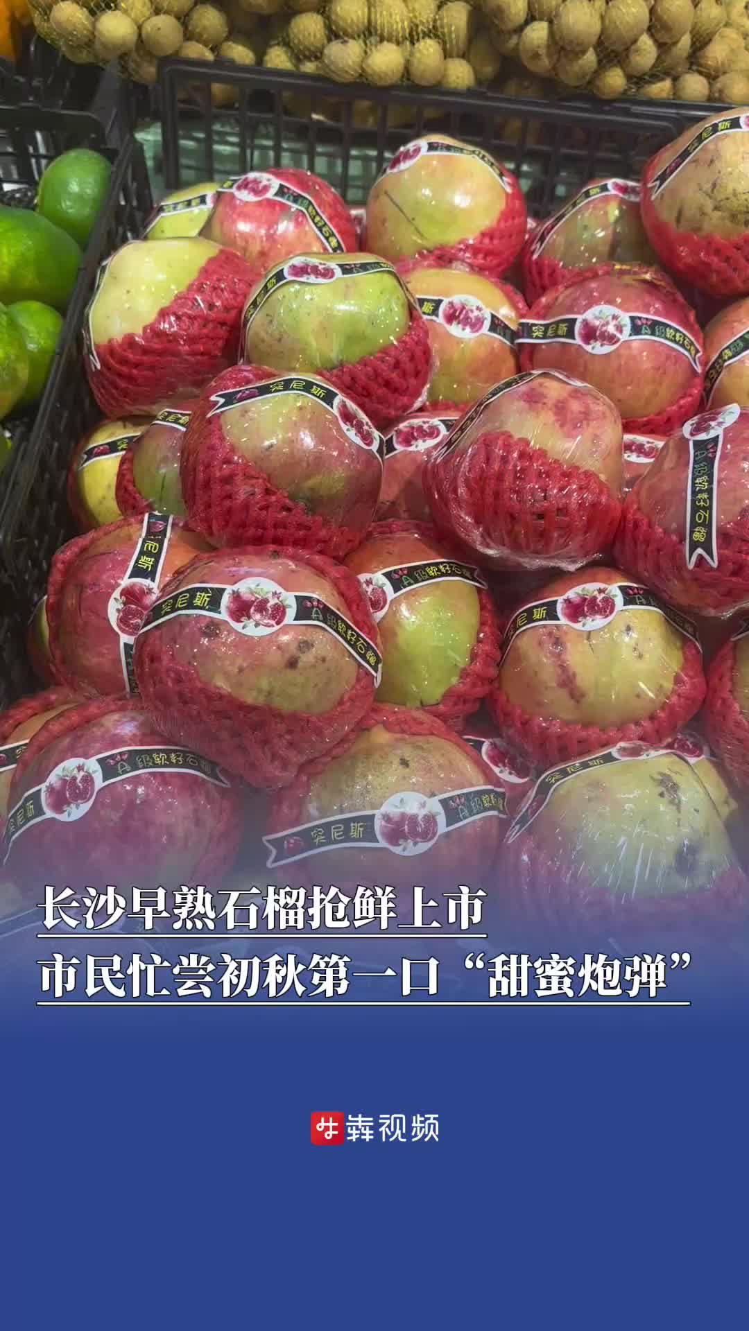 長沙早熟石榴搶鮮上市，價格較為親民