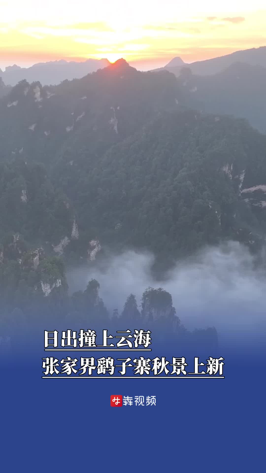 日出撞上云海，张家界鹞子寨秋景上新