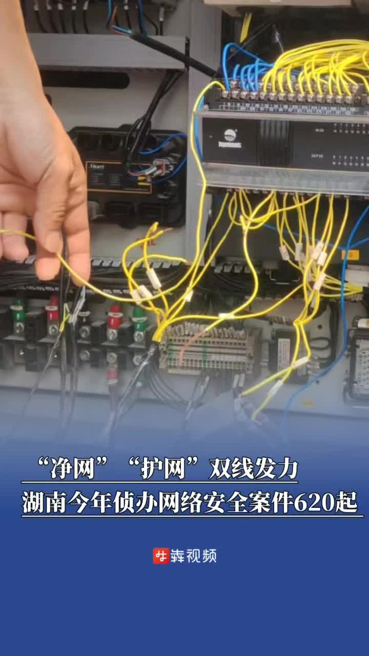 “净网”“护网”齐发力，湖南公安今年侦办网络安全案件620起