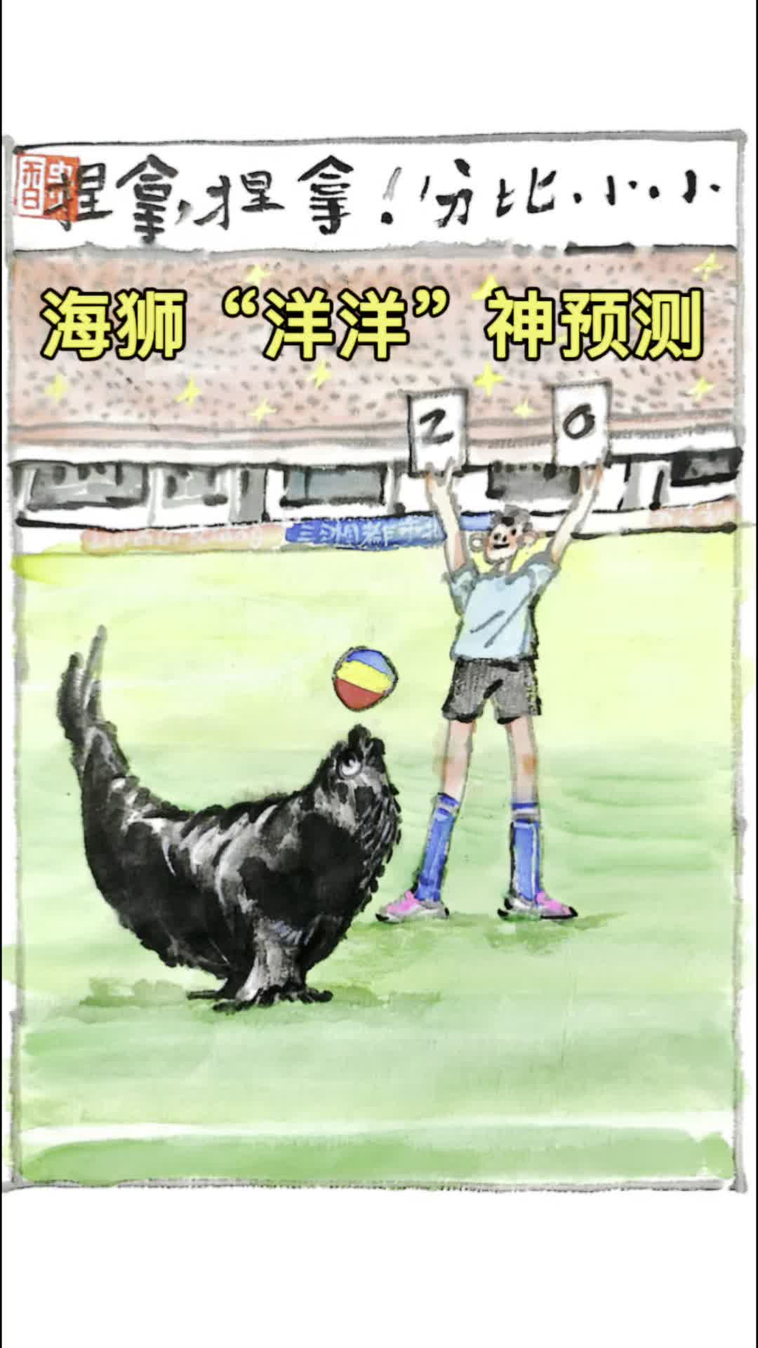 我是刘贵香丨海狮洋洋的神预测