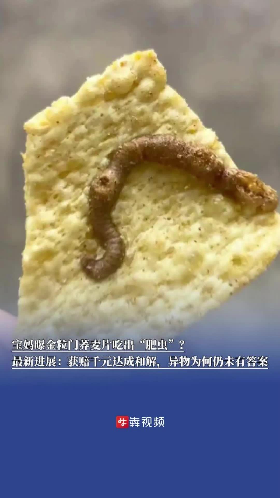 宝妈曝金粒门荞麦片吃出“肥虫”?最新进展:获赔千元达成和解,异物为何仍未有答案丨犇犇帮帮团