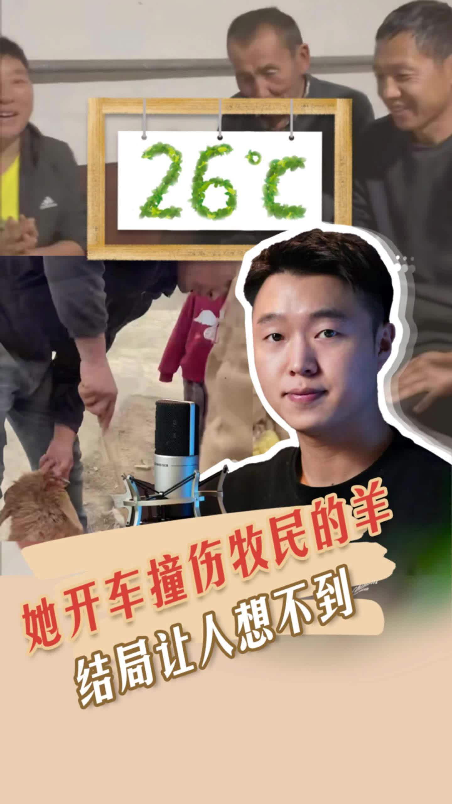 26℃ | 她开车撞伤牧民的羊，结局让人想不到