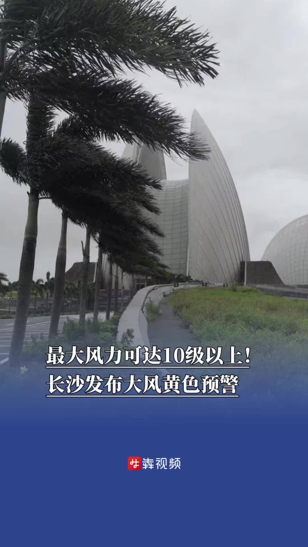 长沙最大风力可达10级以上！长沙发布大风黄色预警