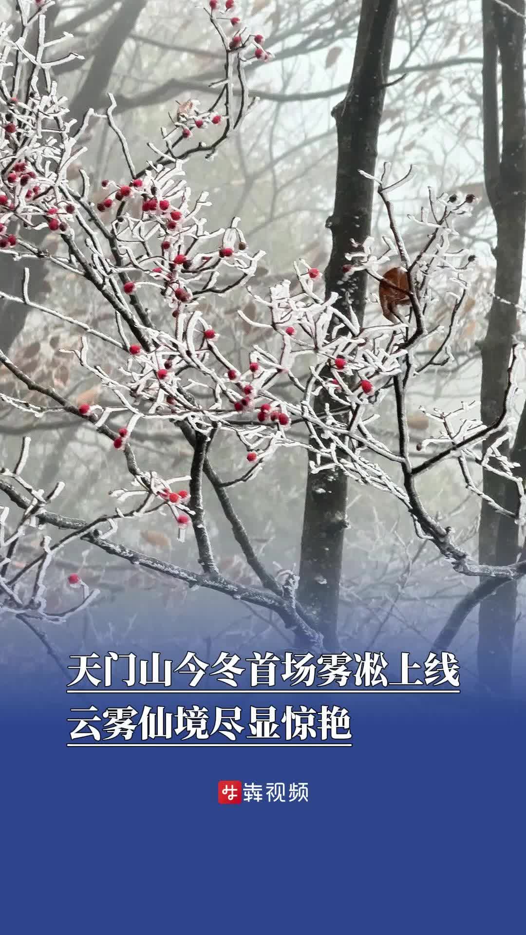 张家界天门山今冬首场雾凇上线
