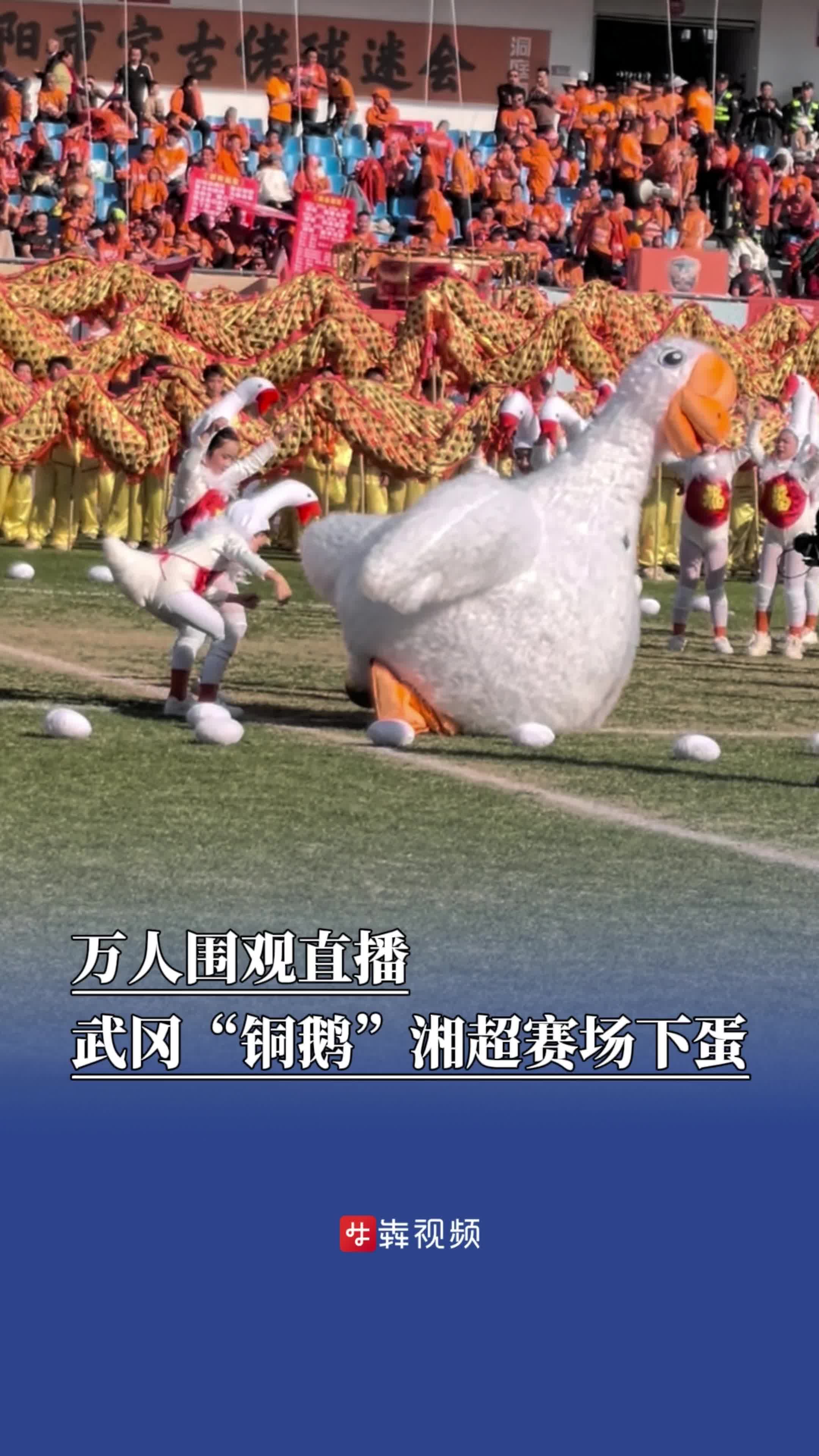 万人围观直播，武冈“铜鹅”湘超赛场“下蛋”