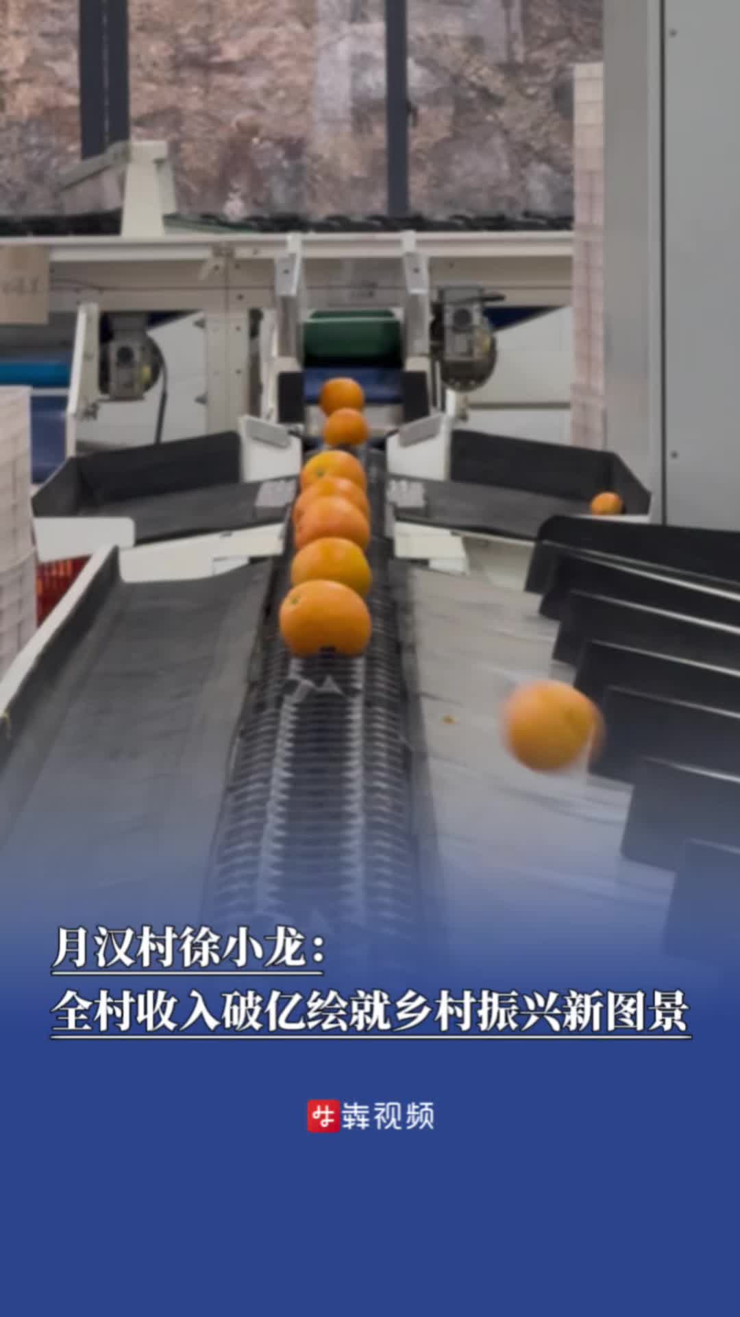 新征程，新样范｜月汉村徐小龙：全村收入破亿，绘就乡村振兴新图景