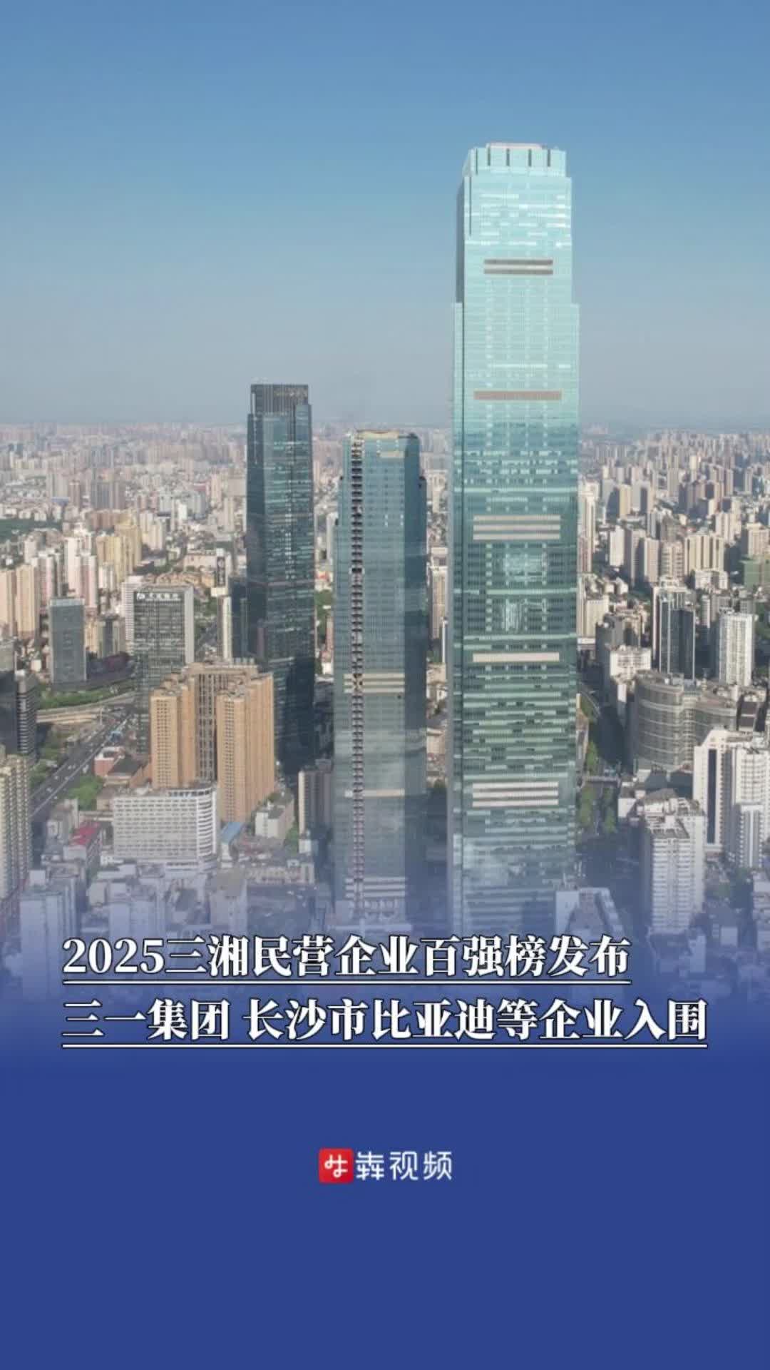 2025三湘民营企业百强榜发布，三一集团、长沙市比亚迪等企业入围