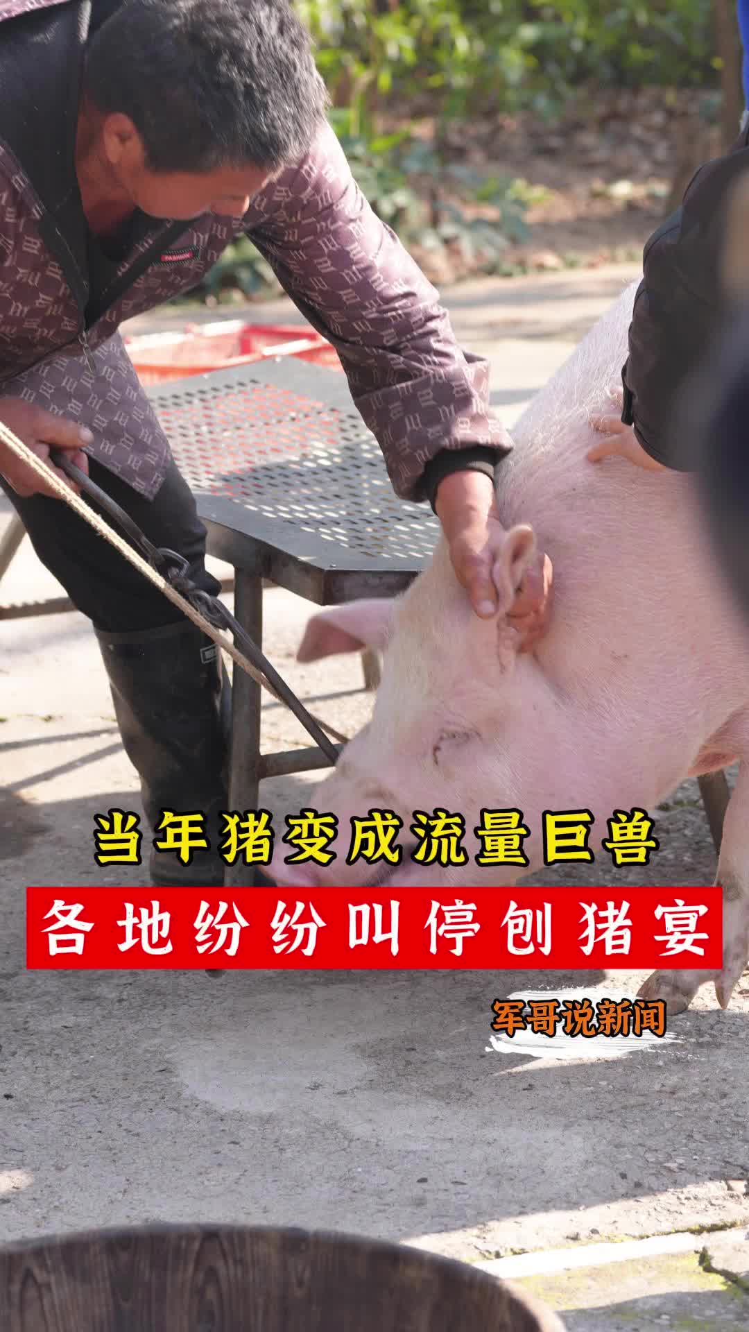 军哥说新闻丨当年猪变成流量巨兽，各地纷纷叫停刨猪宴