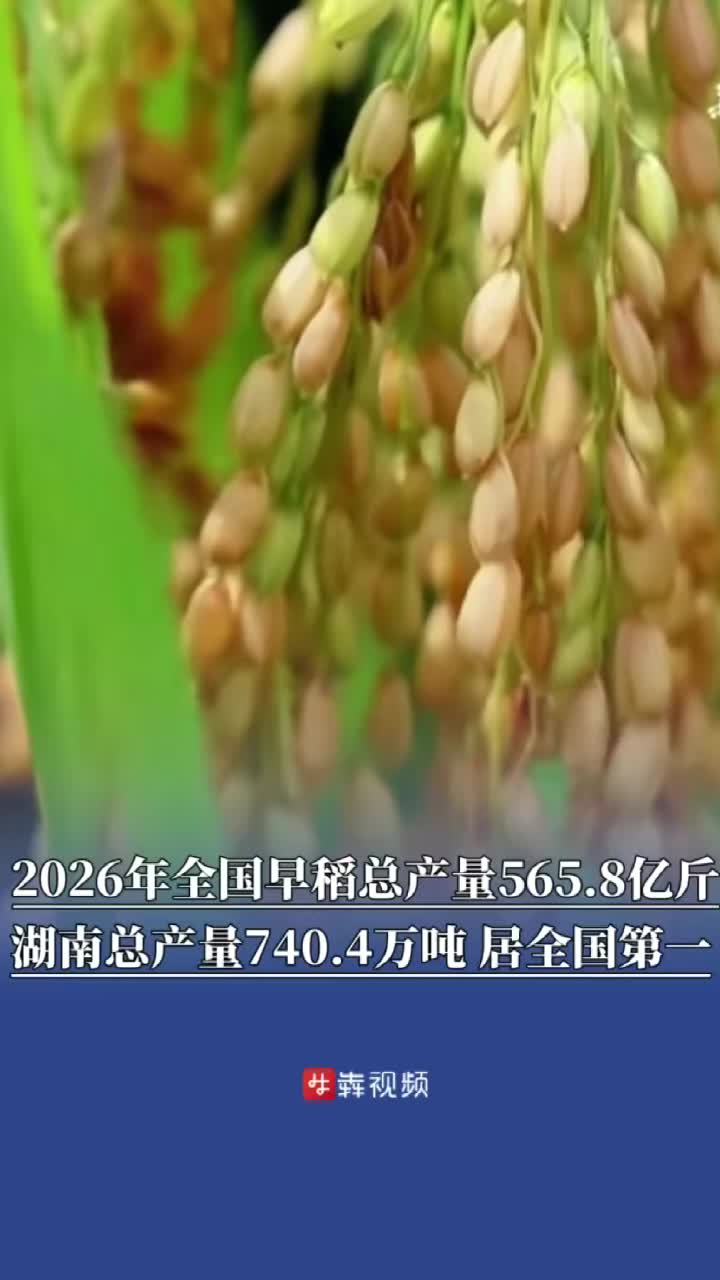 湖南早稻总产量740.4万吨，全国第一