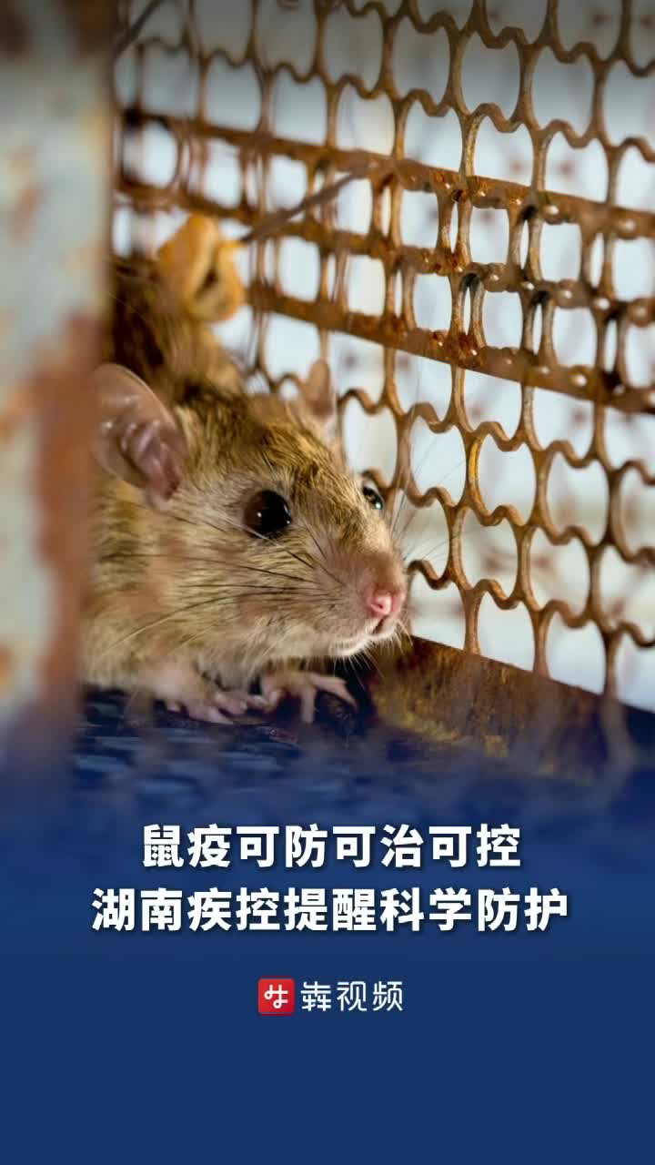 湖南疾控提醒：鼠疫可防可治可控，科学预防不信谣不传谣