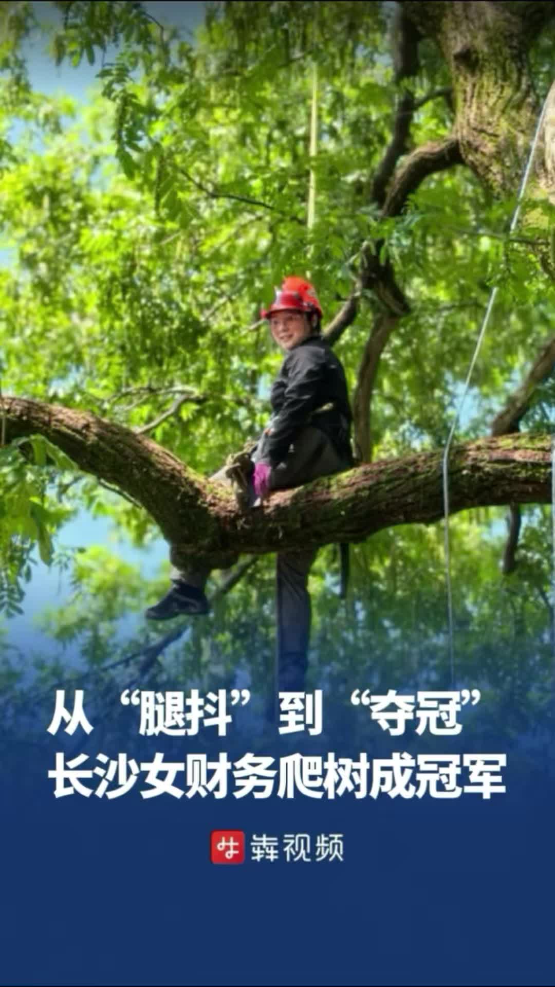 长沙女财务爬树爬成全国冠军