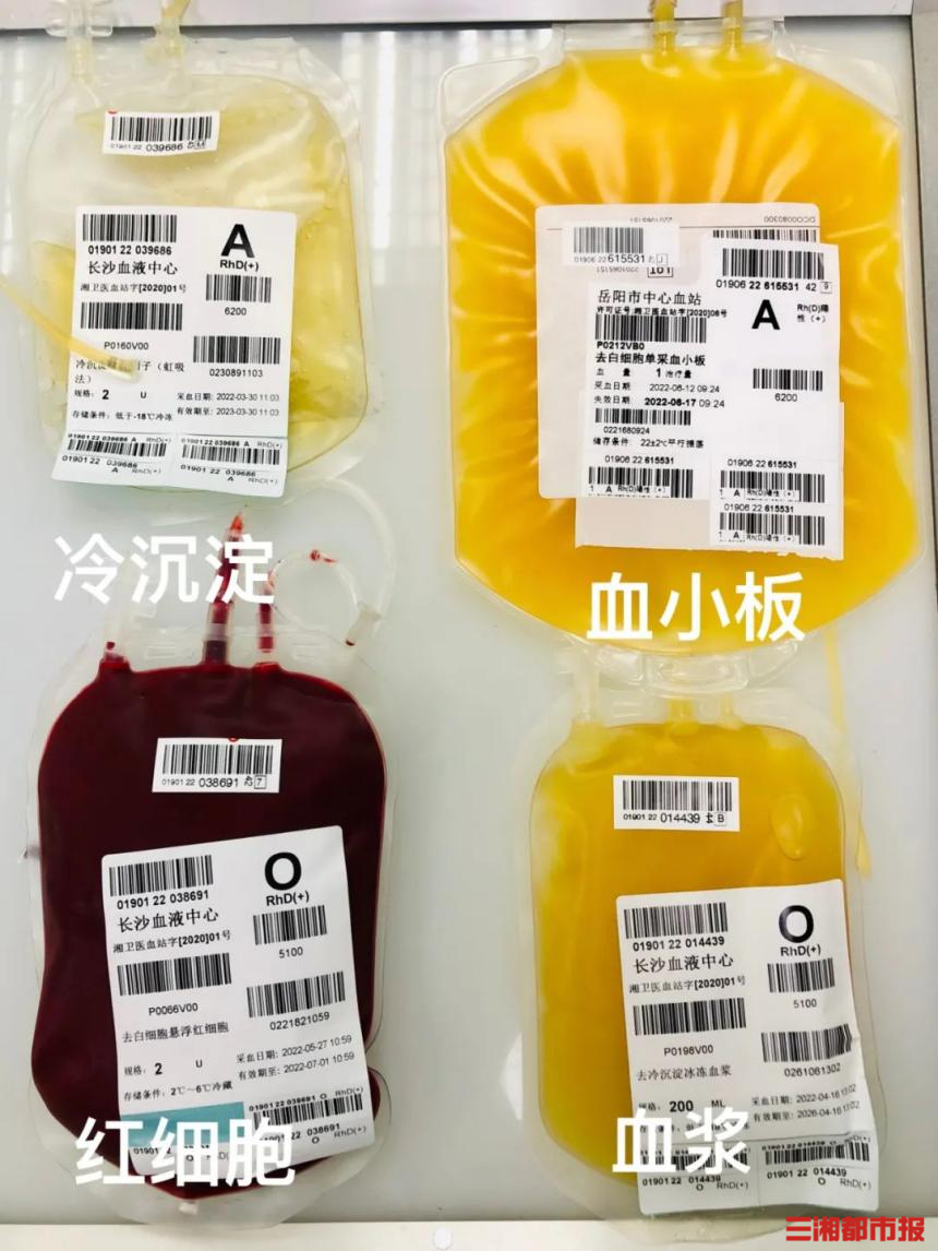 世界献血者日|医院专家为你科普献血小知识-三湘都市报