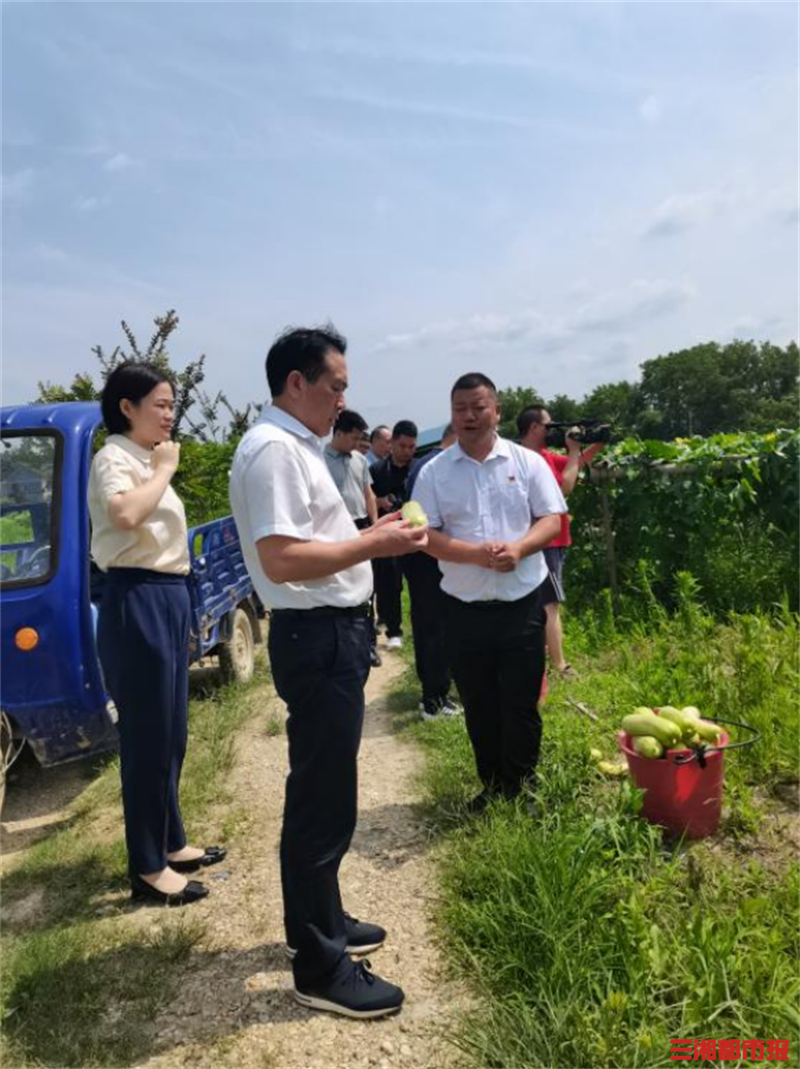 驻村帮扶兴产业,赶考路上助振兴-三湘都市报