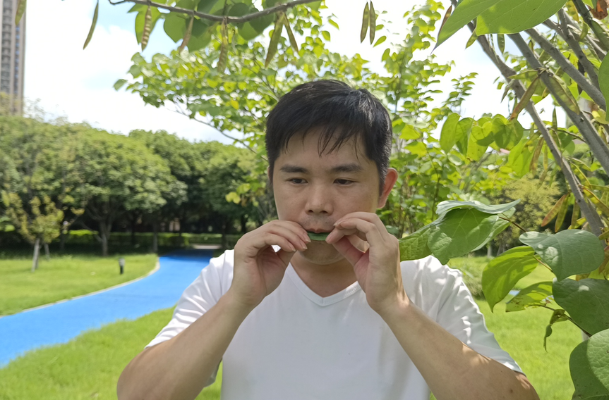 厨房里的“音乐才子 ”：一片荷叶吹奏《荷塘月色》