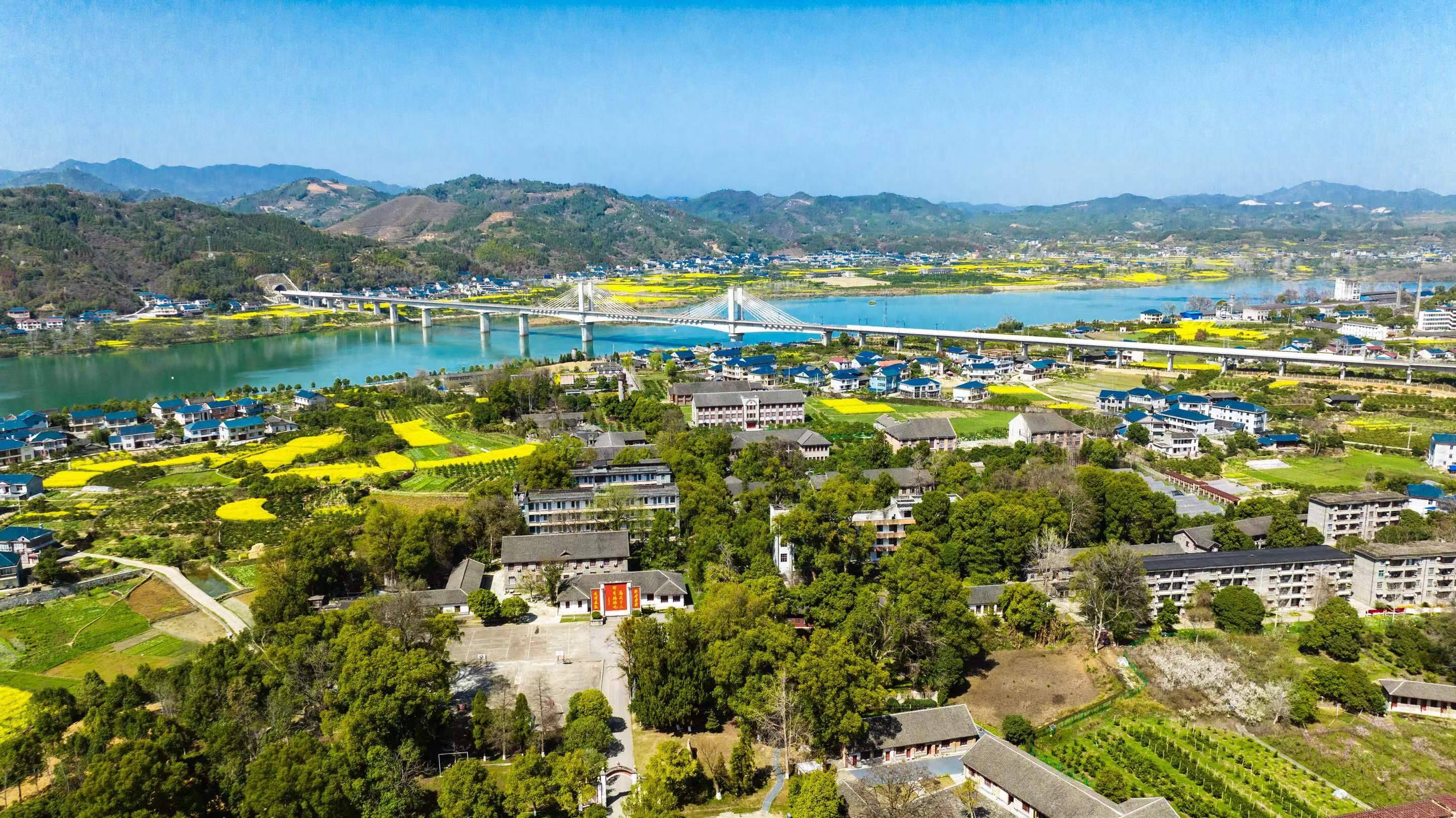 怀化问稻稻源篇