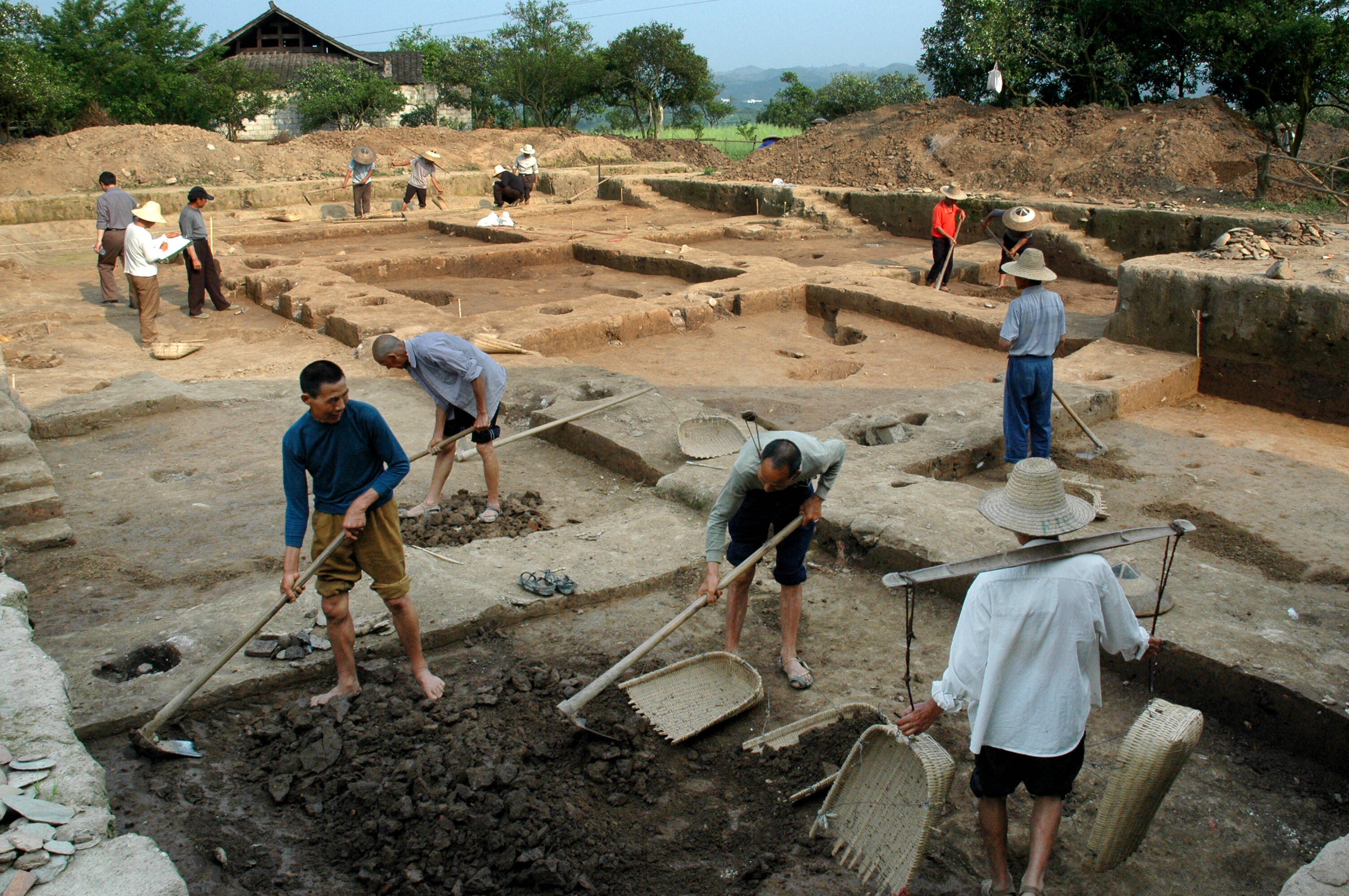 怀化问稻稻源篇