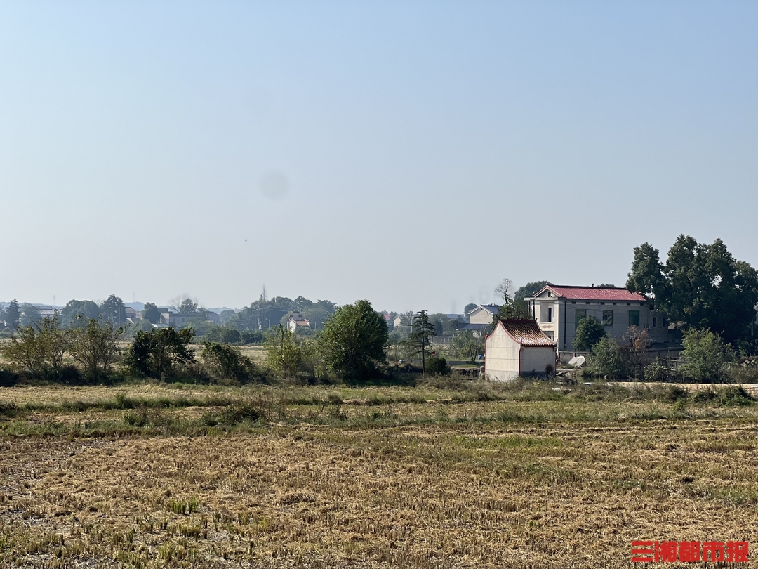 辞青出游正当时，湖南晴空万里宜登高赏秋