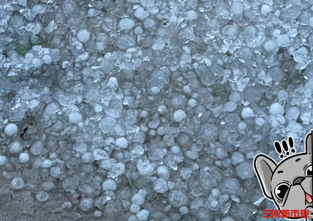 图集伤不起长沙这波冰雹个头不小