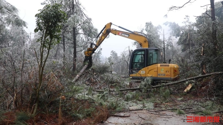 温暖回家路丨道路结冰树木倒伏他们来了