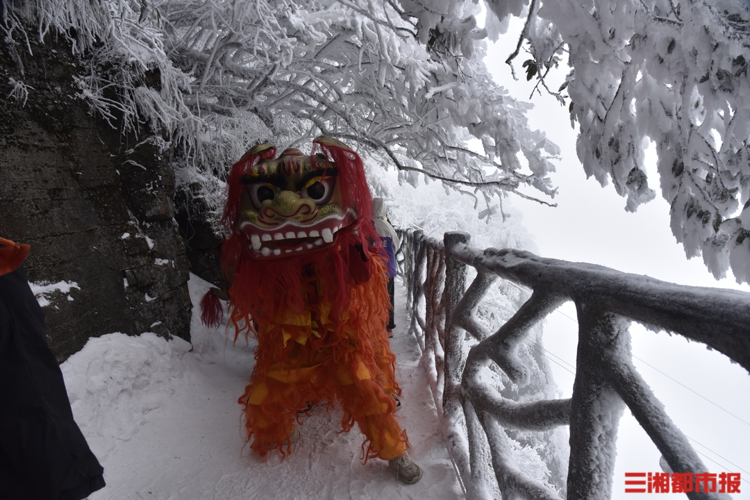 锦绣中国年丨游客玩嗨了！天门山上雪地舞狮闹元宵