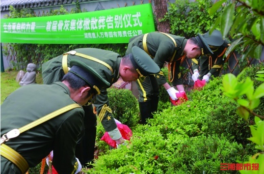 长沙去年奖补节地生态葬2400余例，文明祭扫成新风尚