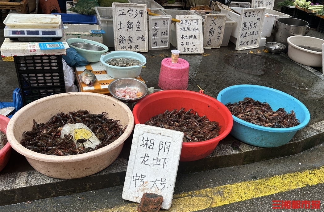 降至14元/公斤，长沙人提前享受“小龙虾自由”