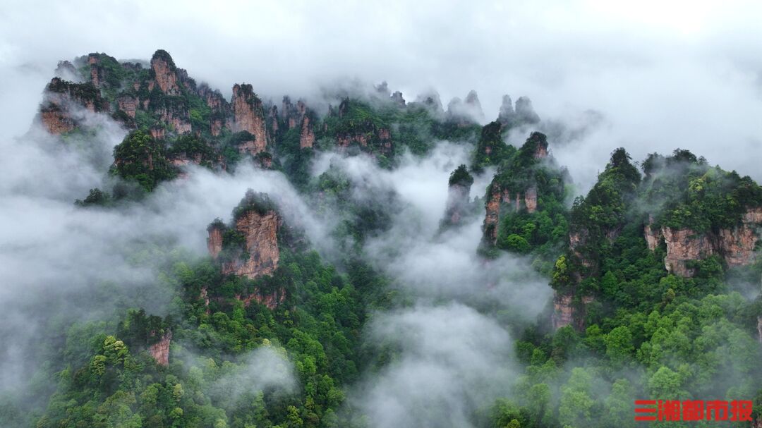 嗨FUN“五一”丨张家界十里画廊雨后现绝美云海- 今日关注- 湖南在线