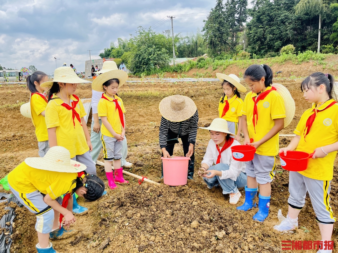 "田间课堂"开课啦!长沙开福让学生沉浸式体验农耕文化