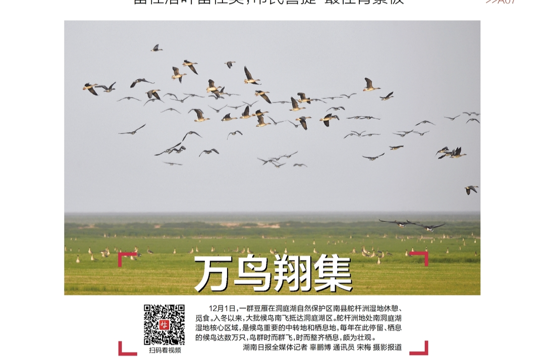 读报|12月2日《三湘都市报》版面速览