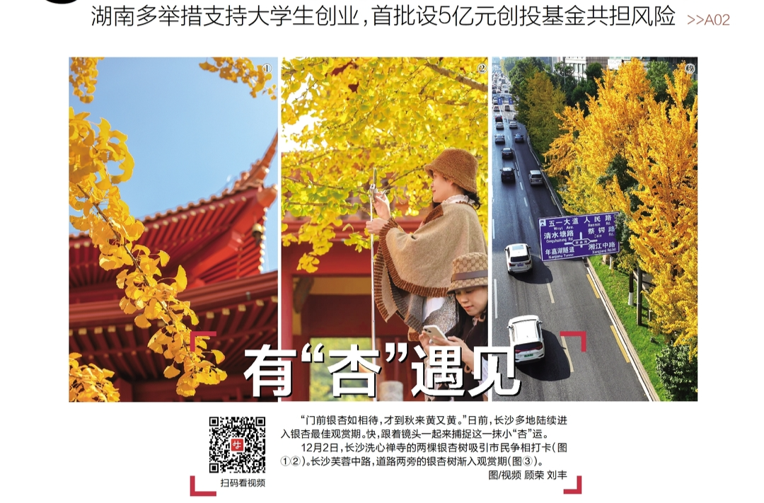 读报|12月3日《三湘都市报》版面速览