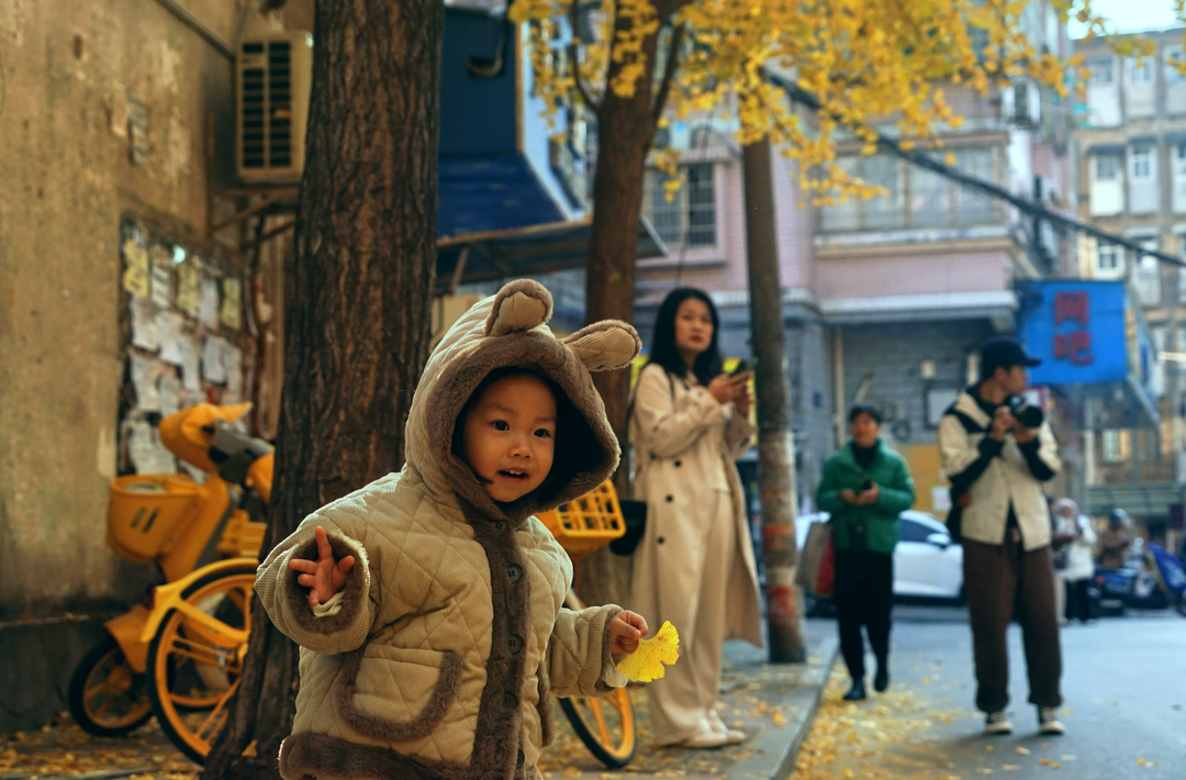 冬路｜長沙這條藏在市井里的銀杏巷，演繹著現(xiàn)實版的《小巷人家》