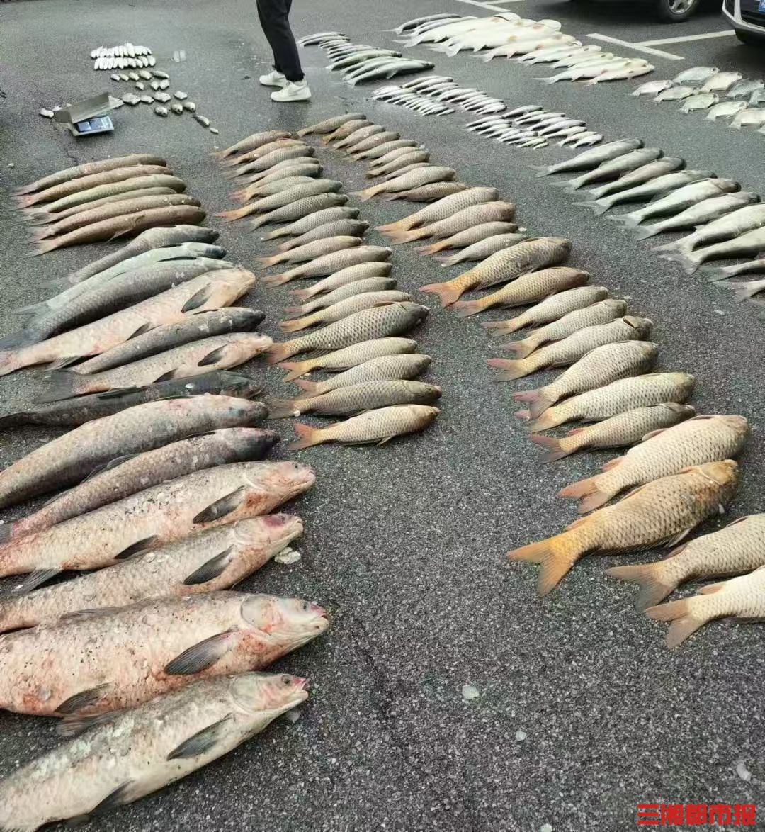 非法捕捞40余吨水产品，捕捞者和“放水”保安被公诉
